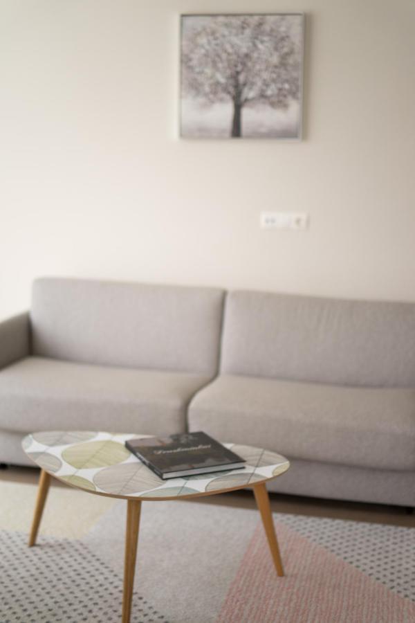 Apartment In Druskininkai City Centre Buitenkant foto